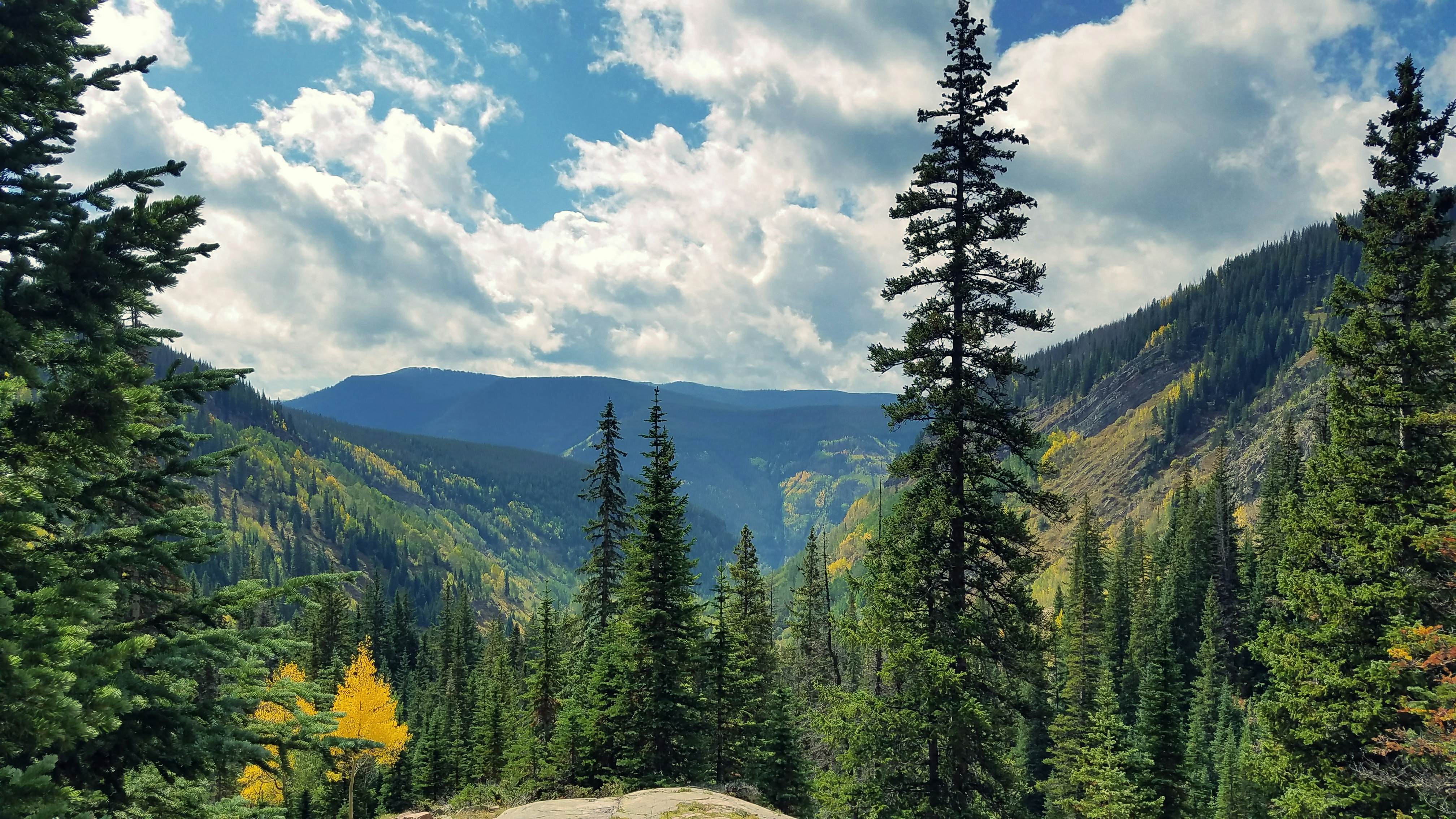 Taken on Booth Falls trail in Vail, Colorado while hiking.